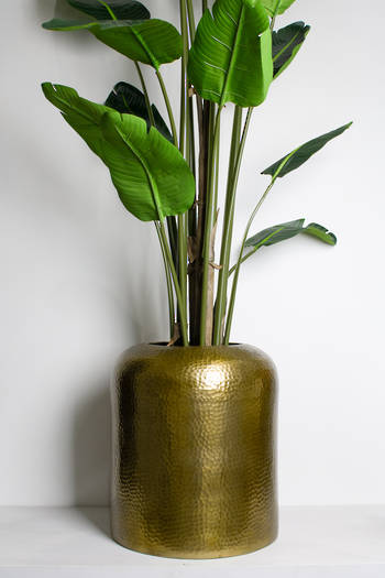 Show additional image 3